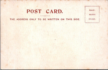 Dorset Postcard: Bournemouth Invalids Walk Pine Trees Garden Resort 1900s XT3466