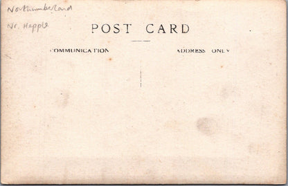 Northumberland Postcard: Holystone Lady's Well Celtic Cross Statue XT4335