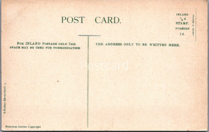 Cheshire Postcard: The Downs, Bowdon, Street Scene Houses c1910's XT4437