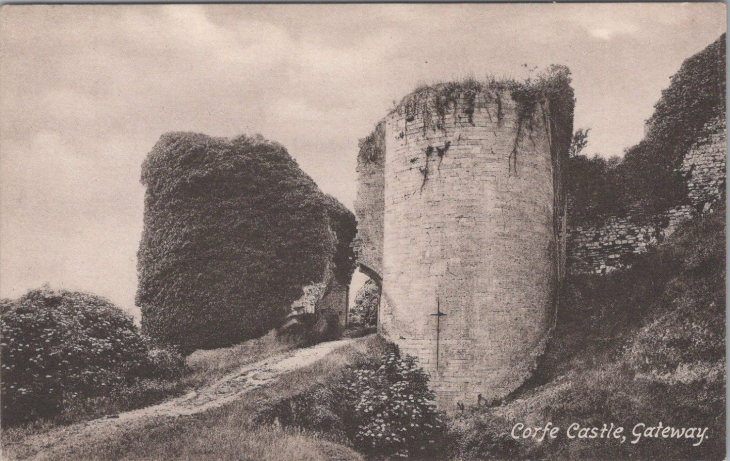 Dorset Postcard: Corfe Castle Gateway, Ruins, Ivy, Purbeck Hills 1900's XT3554