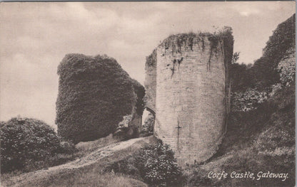 Dorset Postcard: Corfe Castle Gateway, Ruins, Ivy, Purbeck Hills 1900's XT3554