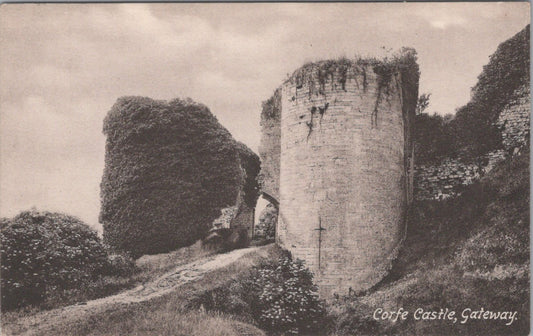 Dorset Postcard: Corfe Castle Gateway, Ruins, Ivy, Purbeck Hills 1900's XT3554