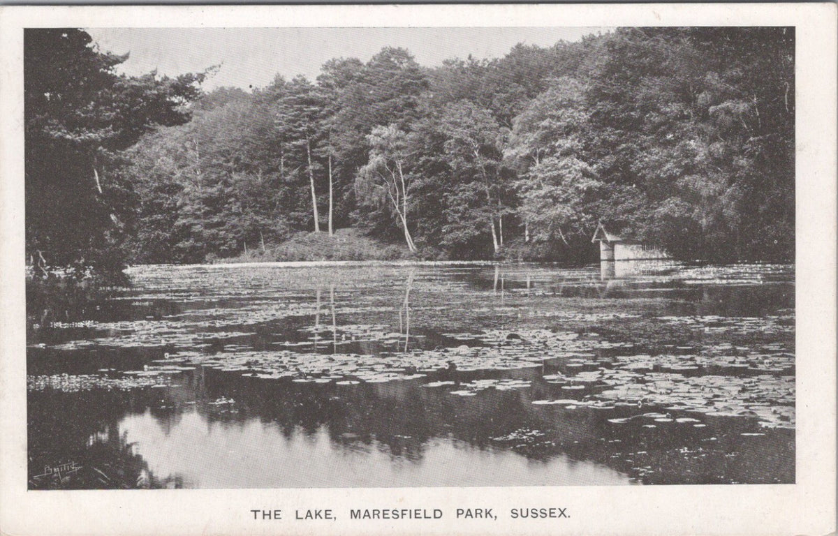 Sussex Postcard: Maresfield Park Lake Lily Pads Boathouse Trees 1900's XT5035
