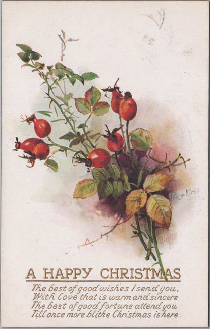 Christmas Postcard:A Happy Christmas Wild Berries Rose Hips Oilette Verse XT3615
