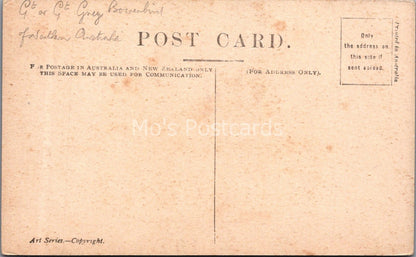 Australia Postcard: Pink Crested Bower Bird J M Cantle Art Series 1910s XT3743