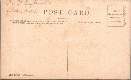 Australia Postcard: Pink Crested Bower Bird J M Cantle Art Series 1910s XT3743