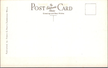 Sussex Postcard: Portslade East Hill Park Bench Mother Pram Baby XT4593