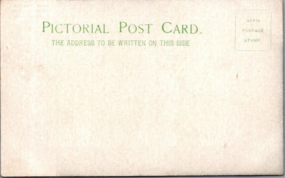 Ascension Island Postcard: Wide Awake Fair Birds Facing Wind Shadows XT3520