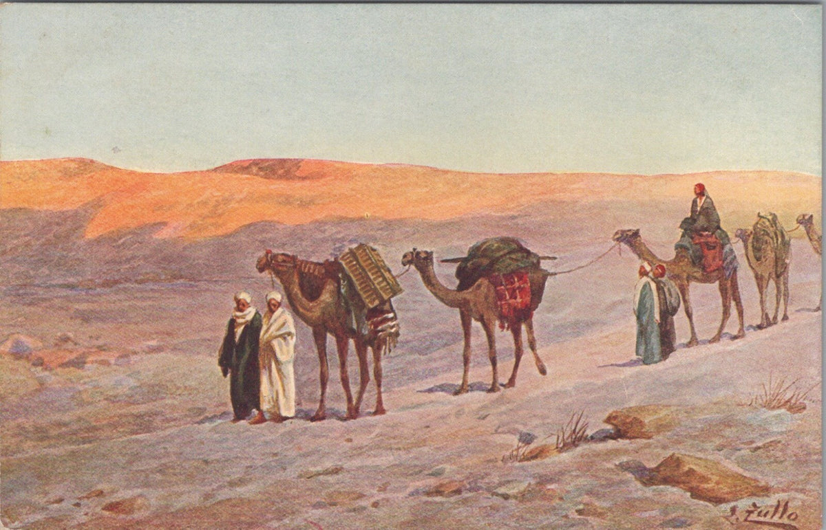 Egypt Postcard: Desert Caravan Camels G Tullo Art View  XT5431