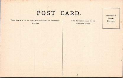 Insect Postcard: Exotic Beetles Sternotomis Calliaudi Back Design 1930s XT5472