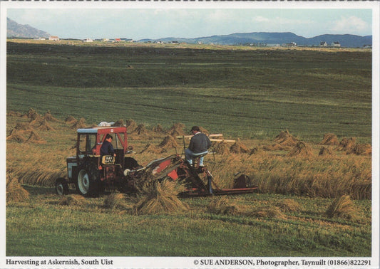 Inverness-shire Postcard: South Uist, Tractor Harvesting At Askernish  XT3835