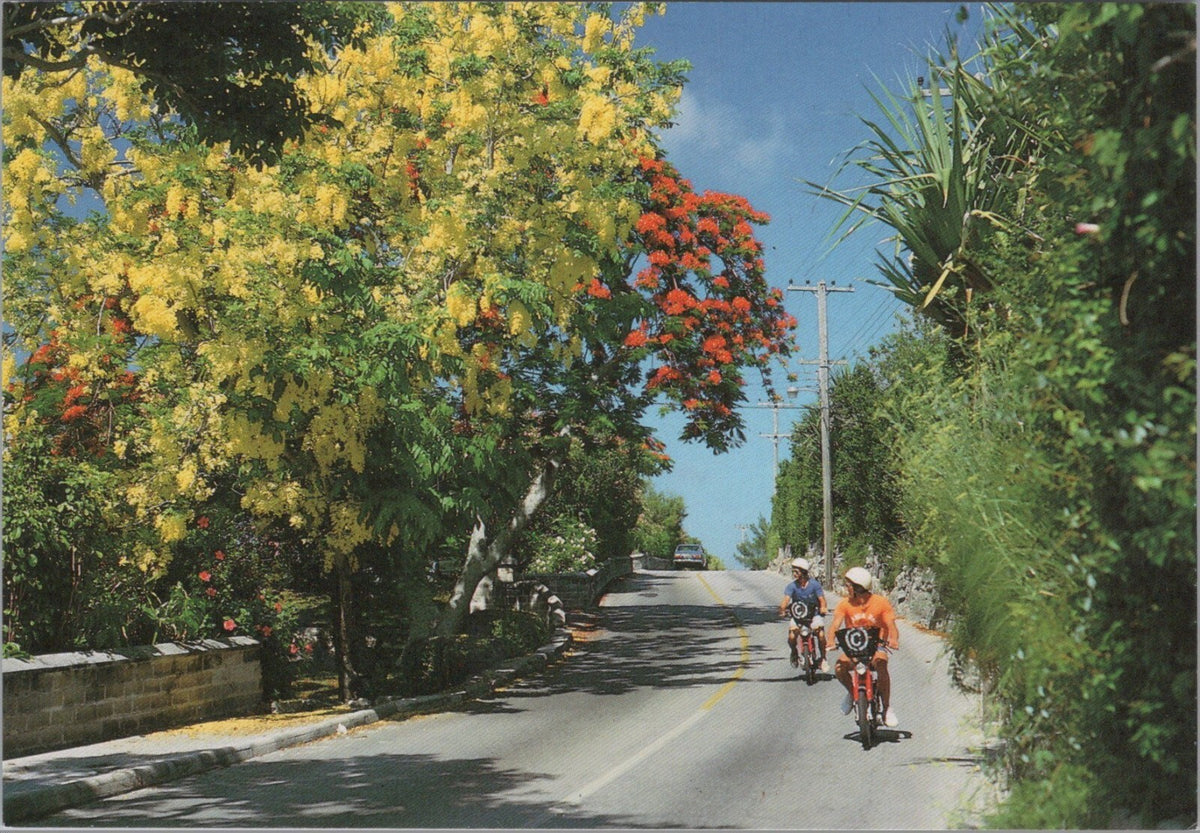 Bermuda Postcard: Southampton Parish, Middle Road Moped Scooters 1970s XT3515