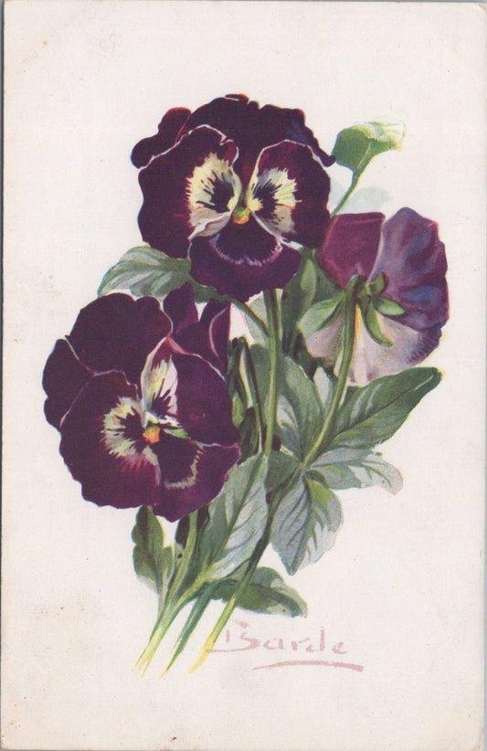 Flowers Postcard: Pensee Purple Pansy Viola Tricolor Bouquet Signed Barde  XT3580