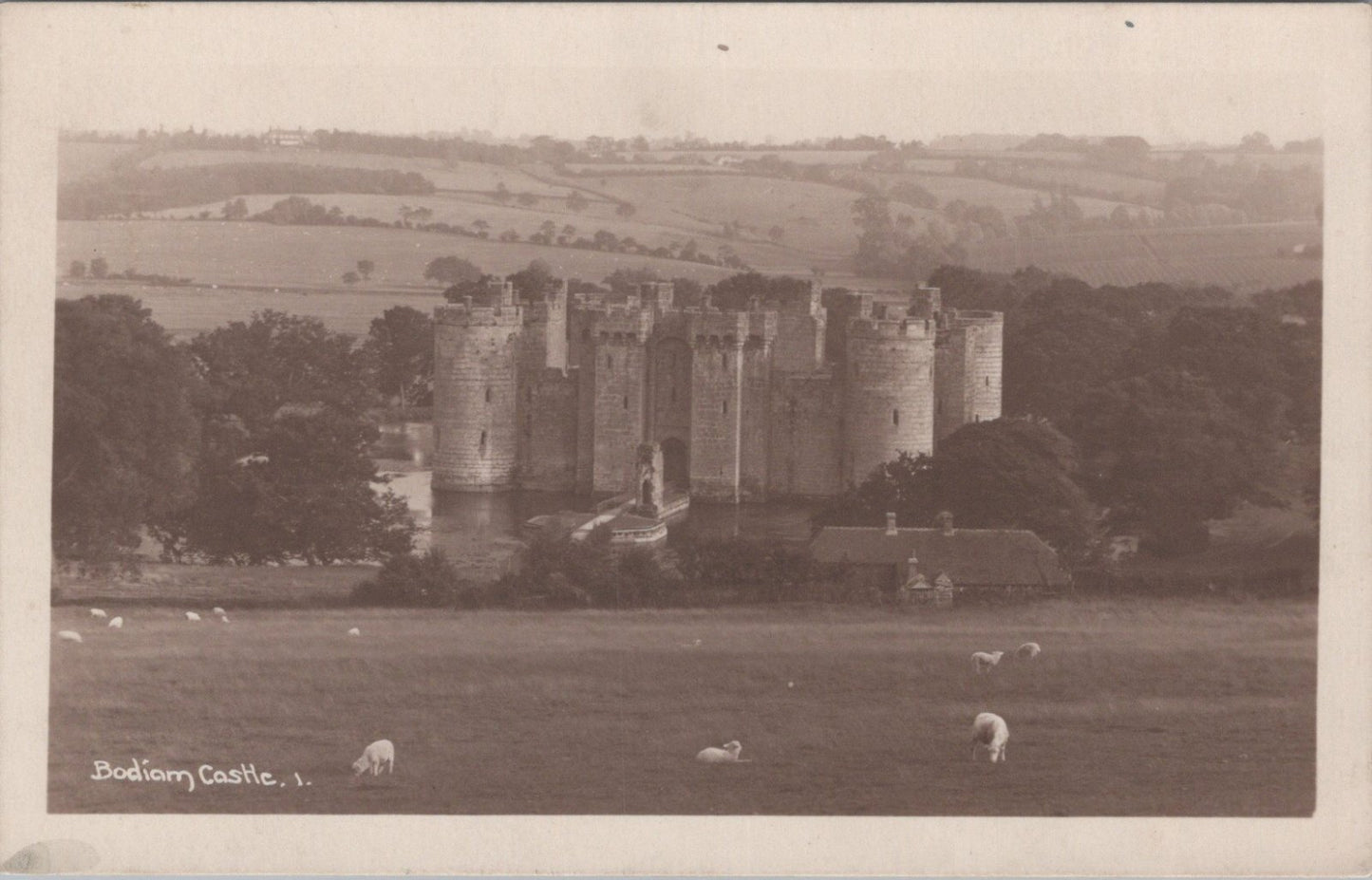 Sussex Postcard: Bodiam Castle Moat, Landscape, Sheep, Countryside XT3562