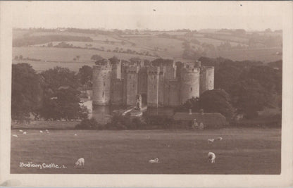 Sussex Postcard: Bodiam Castle Moat, Landscape, Sheep, Countryside XT3562