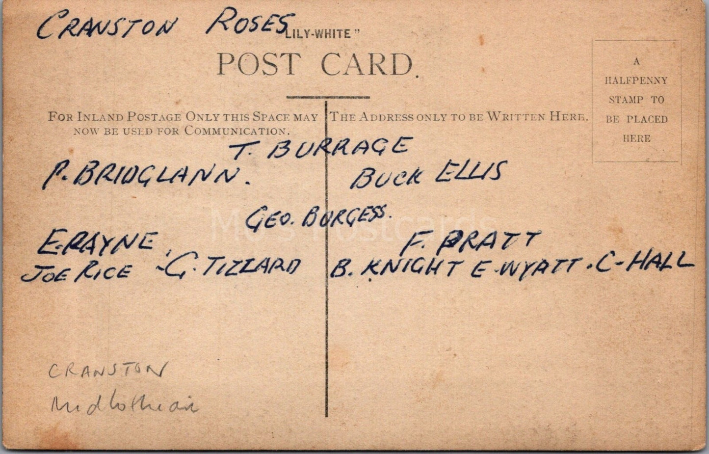 Sports Postcard: Cranston Roses Football Team, Lily-white Players RPPC XT3548
