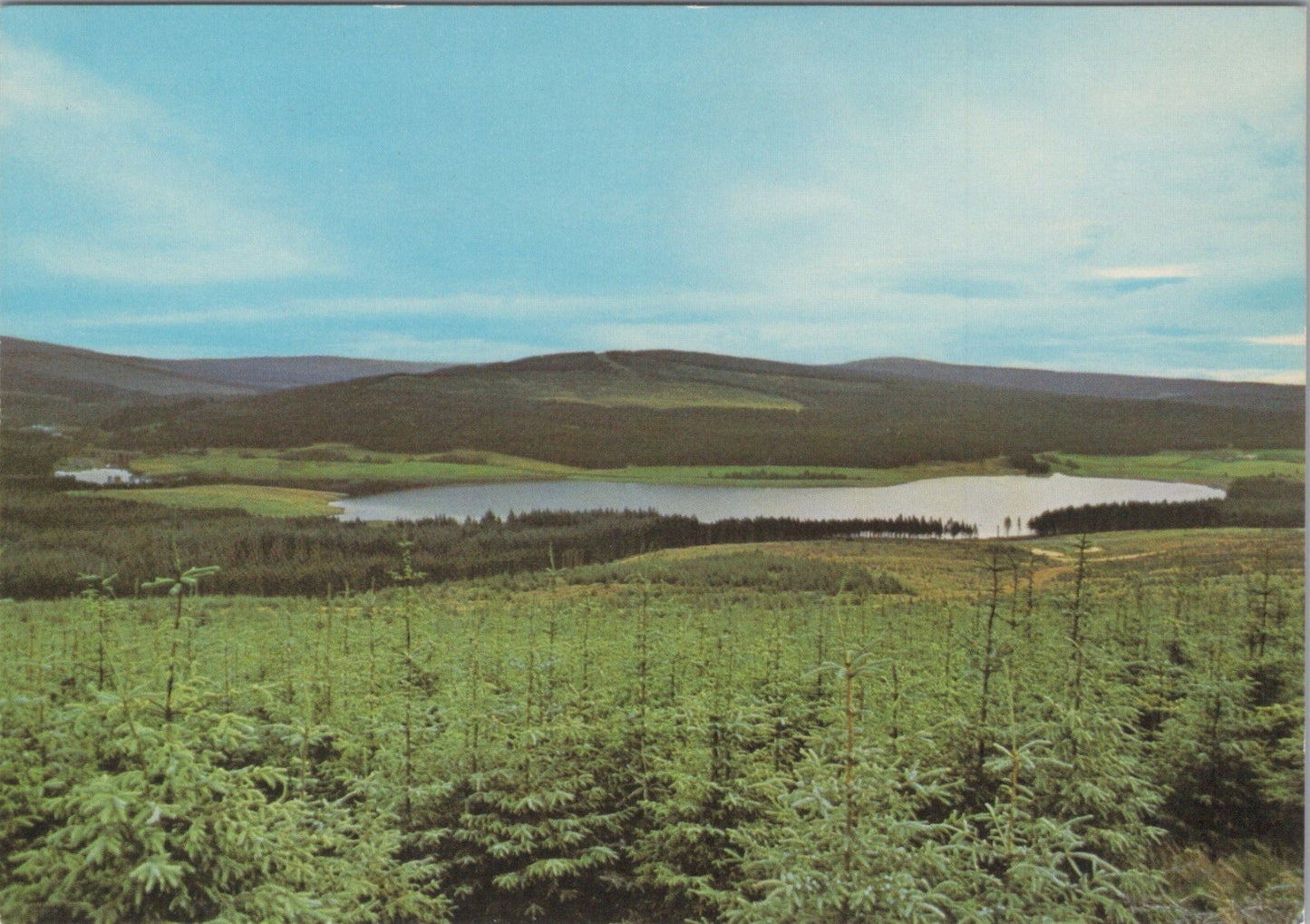 Northumberland Postcard:Bakethin Reservoir Kielder Water Landscape 1980’s XT4466