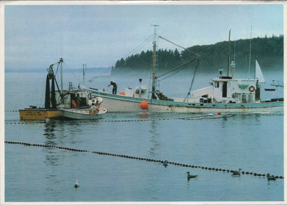 Maine Postcard: Foggy Coast Herring Fishing Boats Joyce Marie 1980s XT5121