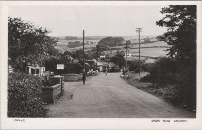 Flintshire Postcard: Gronant Shore Road Street Cottages Landscape RPPC  XT5072