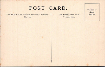 Beetle Postcard: Exotic Beetles Mesomphalia Tortoise Back Design 1930s XT5475