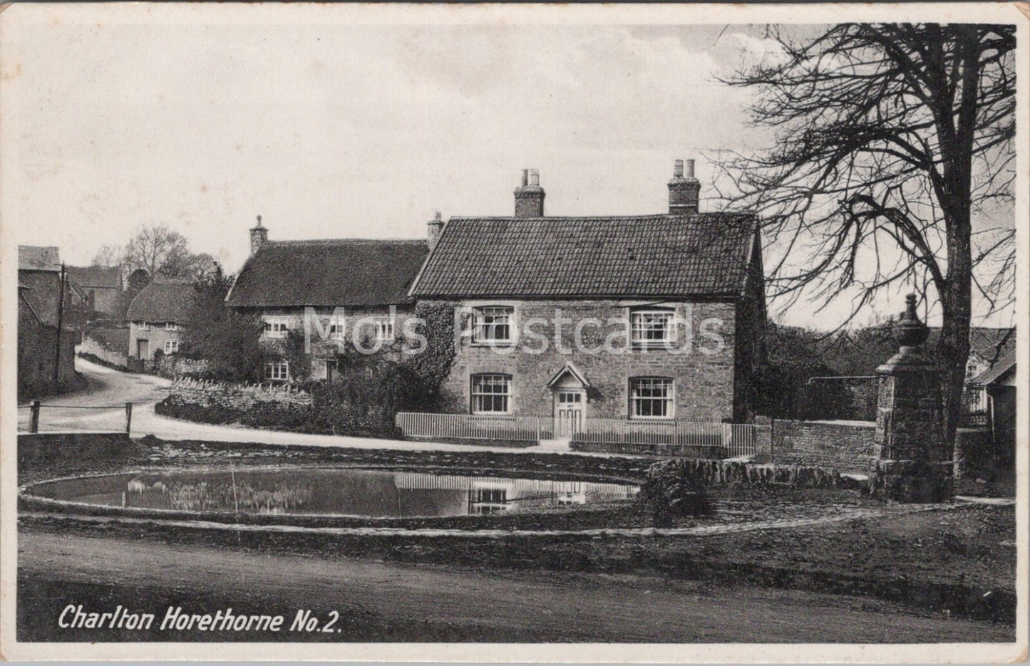 Somerset Postcard: Charlton Horethorne Village Pond Stone Cottages 9661