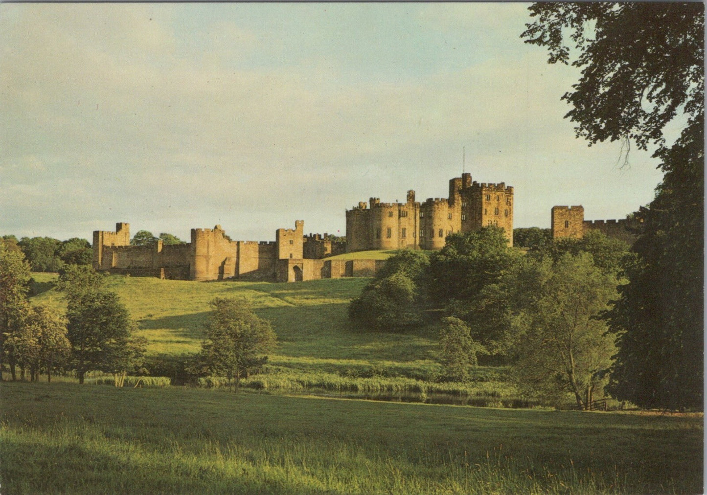 Northumberland Postcard: Alnwick Castle Pastures River Aln Landscape  XT4465