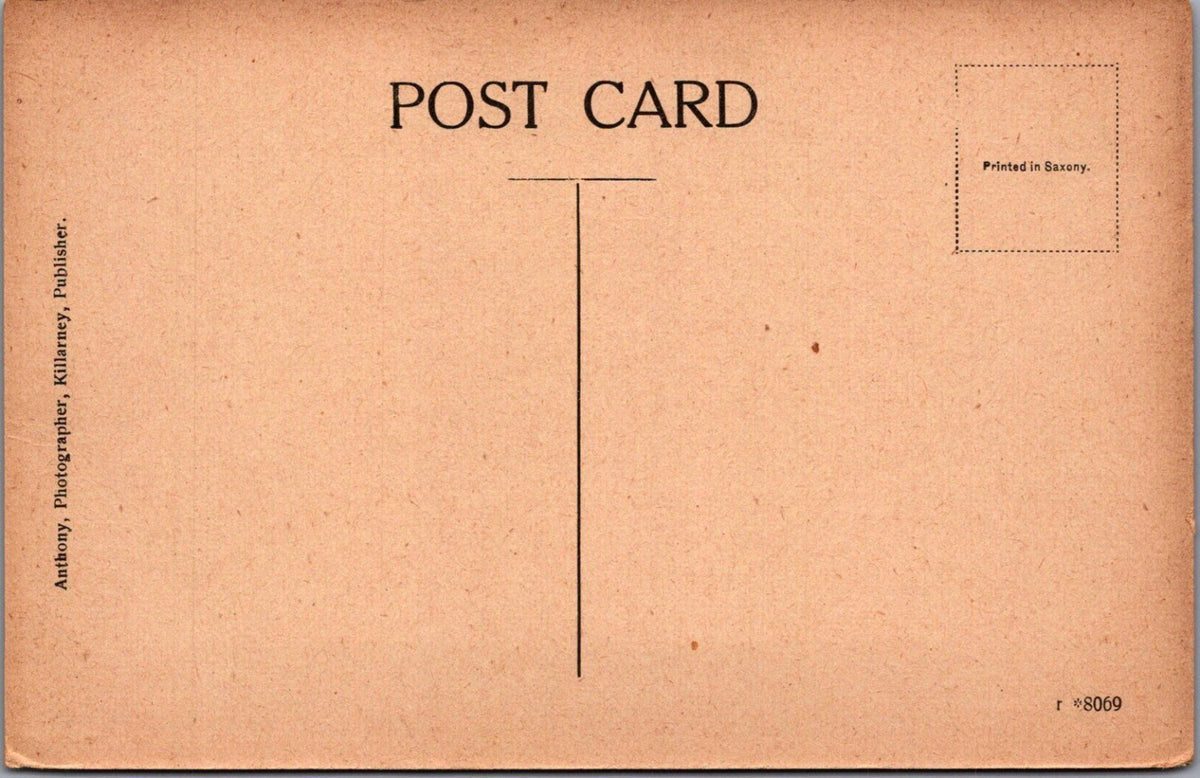 Kerry Postcard: Ross Castle, Killarney, Lake Tower, Rowing Boat XT5306