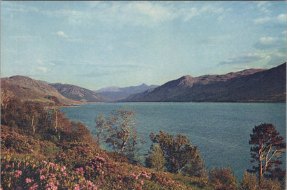 Ross-shire Postcard:Loch Broom Wester Ross, Braemore Forest Ullapool 60's TZ3495