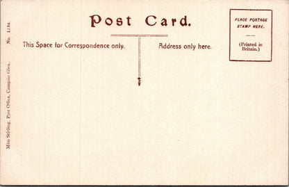 Stirlingshire Postcard: Campsie Glen Fintry Road Highland Cattle XT5433
