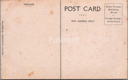 Lincolnshire Postcard: The Tea House Woodhall Spa Garden People XT4311