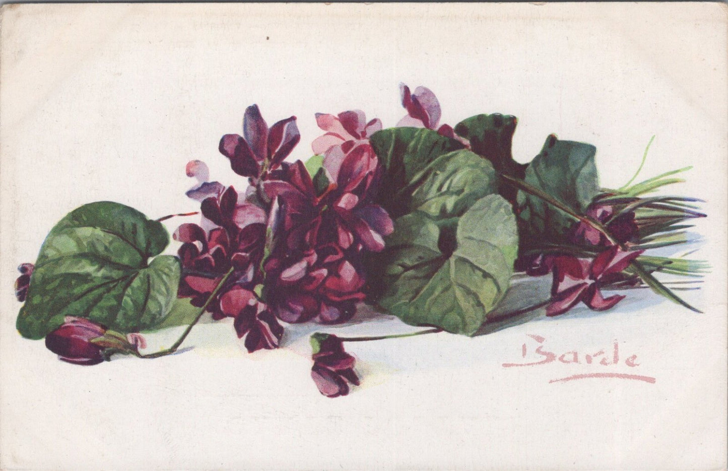 Flowers Postcard: Violette Le Czar Viola Odorata Bouquet Signed Barde XT3584