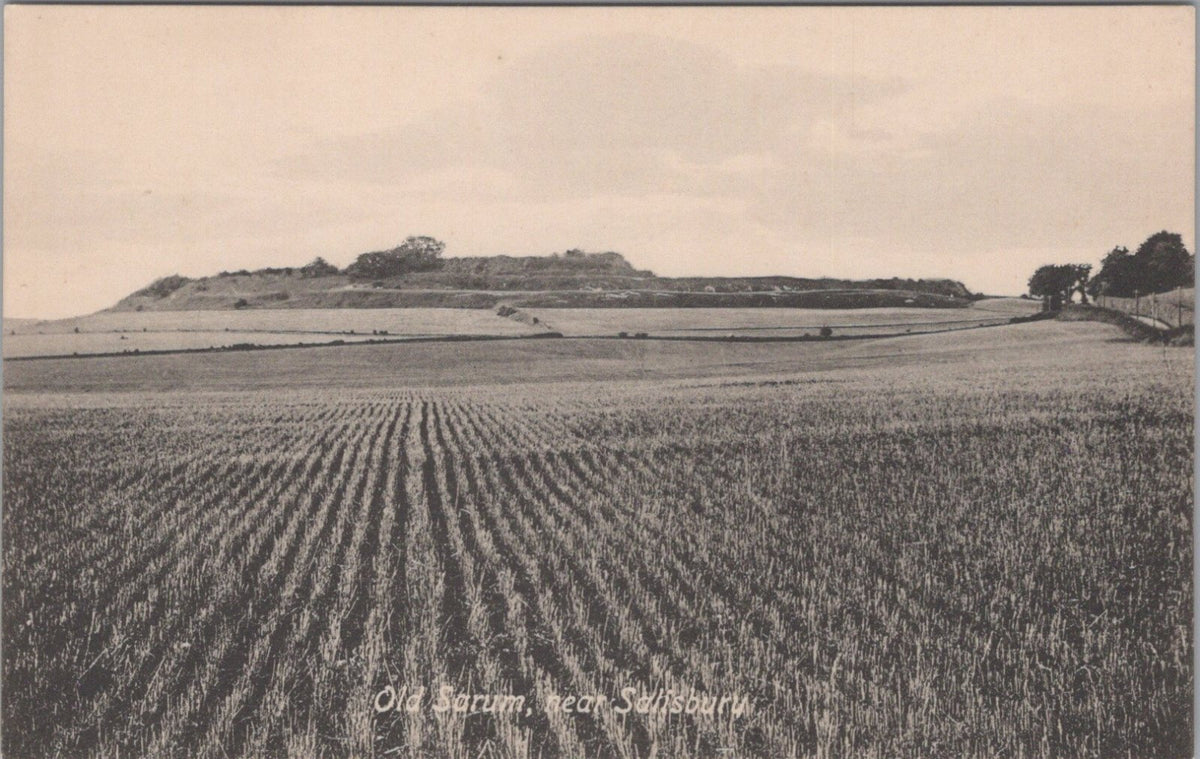 Wiltshire Postcard: Old Sarum near Salisbury Hill Fort Landscape XT5488