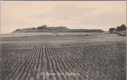 Wiltshire Postcard: Old Sarum near Salisbury Hill Fort Landscape XT5488