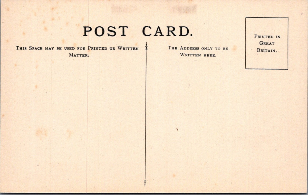 Insect Postcard: Tragocephala Gorilla Anoplostetha Lactator Back 1930s XT5473