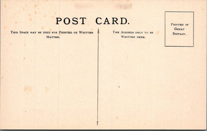 Insect Postcard: Tragocephala Gorilla Anoplostetha Lactator Back 1930s XT5473