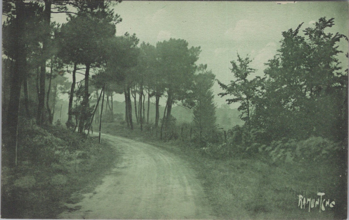 France Postcard: Les Sables Foret d'Olonne, Wooded Forest Road 1920's XT5178