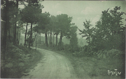 France Postcard: Les Sables Foret d'Olonne, Wooded Forest Road 1920's XT5178