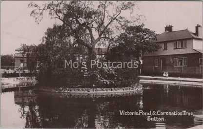 Surrey Postcard: Sutton Victoria Pond Coronation Tree House 1912 XT3668