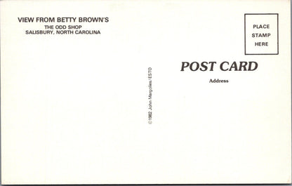 North Carolina Postcard: Salisbury, The Odd Shop, Old Pepsi Signs 1980's XT4407