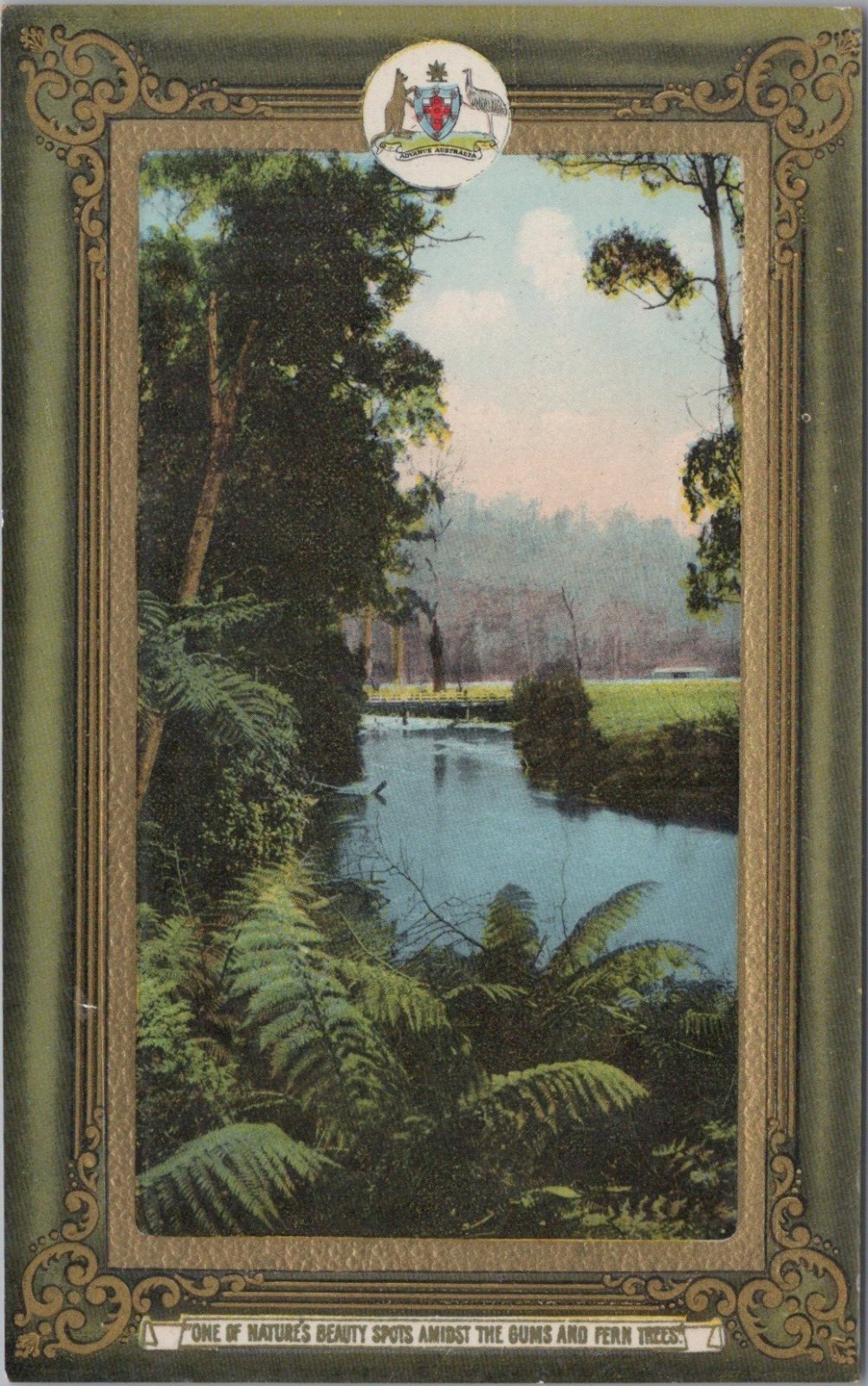 Australia Postcard: Gums And Fern Trees Advance Australia Coat Arms 8926A