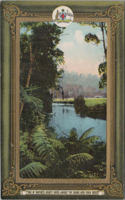 Australia Postcard: Gums And Fern Trees Advance Australia Coat Arms 8926A