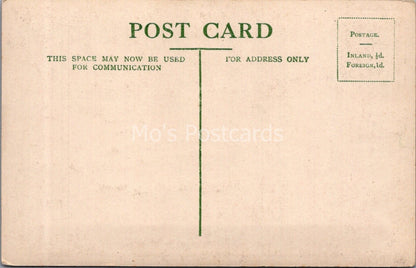 Dorset Postcard: Athelhampton Gardens Fountain Steps Stone Gate Piers XT3686