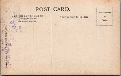 Theatre Postcard: Evelyn Millard Edwardian Stage Actress RPPC   XT5419