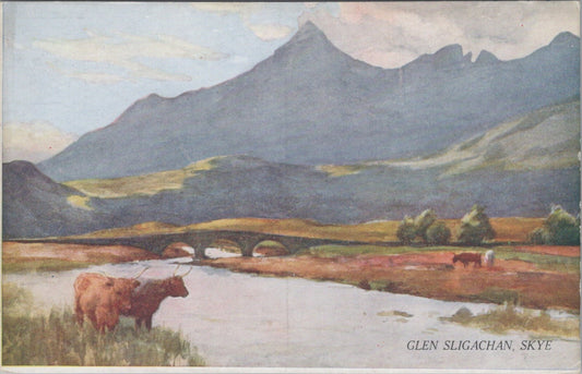 Inverness-shire Postcard: Glen Sligachan Isle Of Skye Bridge Cattle 20's XT5522