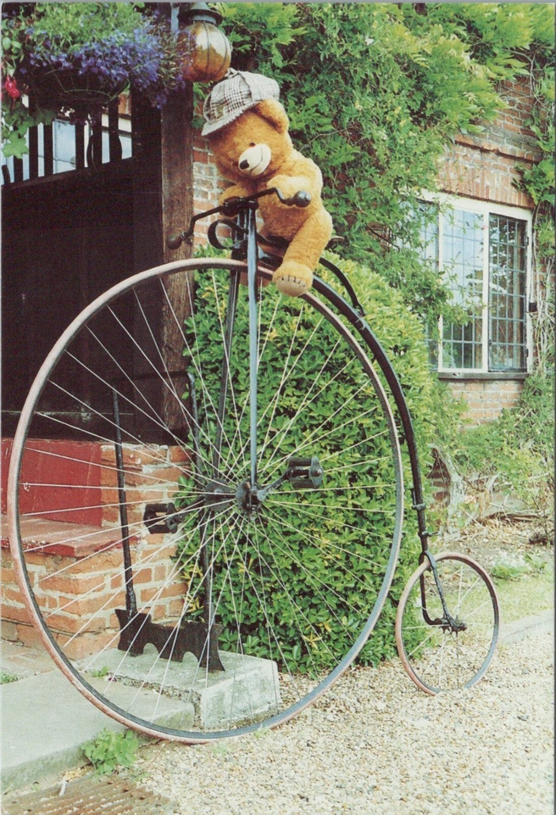 Novelty Postcard: Teddy Bear Riding Penny Farthing Bicycle Singer RR23751