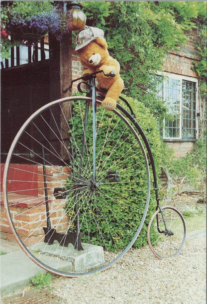 Novelty Postcard: Teddy Bear Riding Penny Farthing Bicycle Singer RR23751