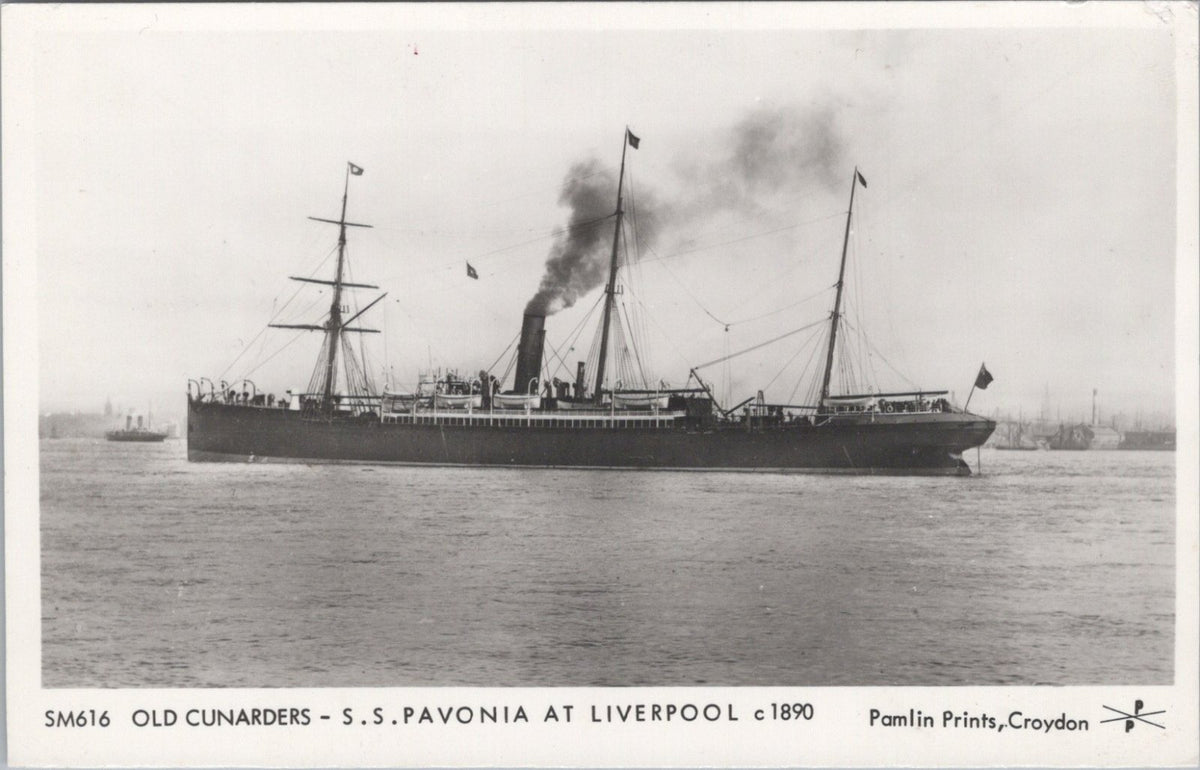 Shipping Postcard: SS Pavonia Cunard Liner At Liverpool RPPC 1970s XT5311