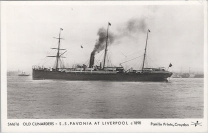 Shipping Postcard: SS Pavonia Cunard Liner At Liverpool RPPC 1970s XT5311
