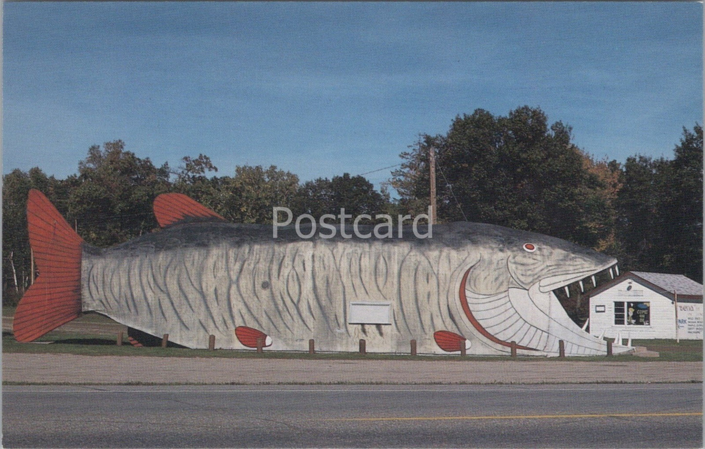 Minnesota Postcard: Bena, Big Fish Supper Club Musky 1980's XT4409