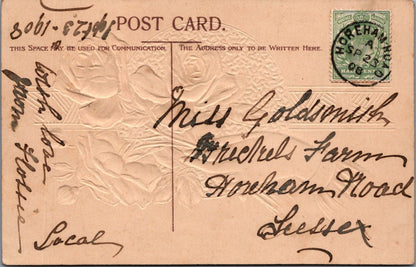 Birthday Postcard: Hand Holding Roses Gold Medallion Ribbon 1900s XT4986